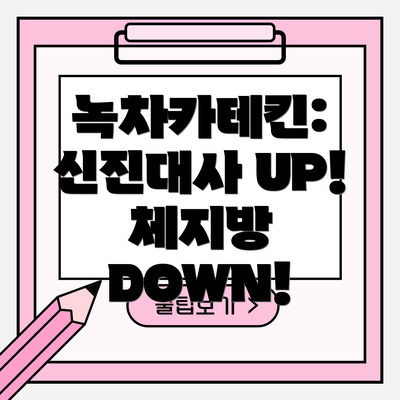 녹차카테킨: 신진대사 UP! 체지방 DOWN!