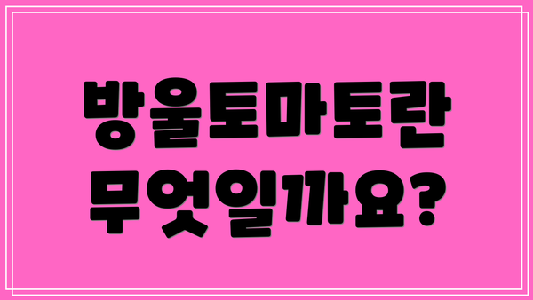 방울토마토란 무엇일까요?