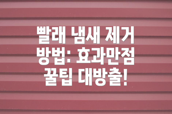 빨래 냄새 제거 방법: 효과만점 꿀팁 대방출!