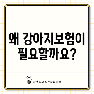 왜 강아지보험이 필요할까요?