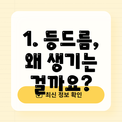 1. 등드름, 왜 생기는 걸까요?