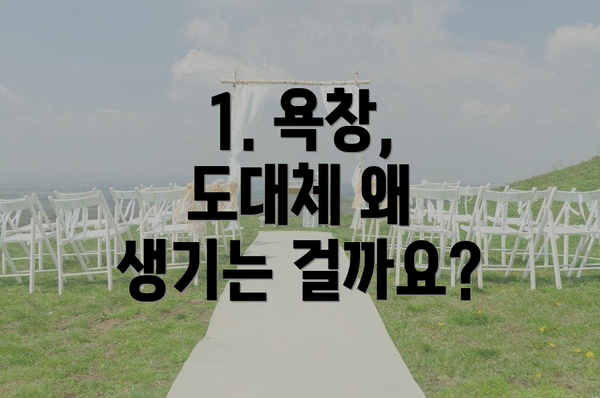 1. 욕창, 도대체 왜 생기는 걸까요?