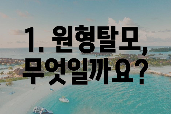 1. 원형탈모, 무엇일까요?
