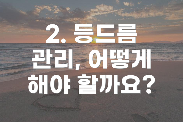2. 등드름 관리, 어떻게 해야 할까요?