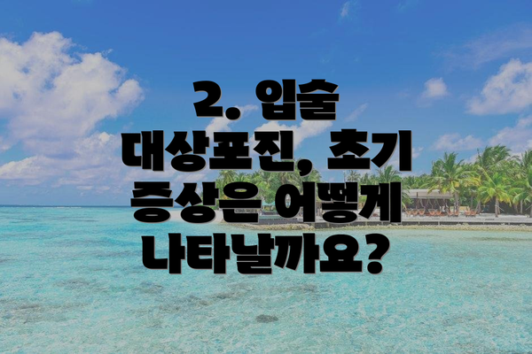 2. 입술 대상포진, 초기 증상은 어떻게 나타날까요?