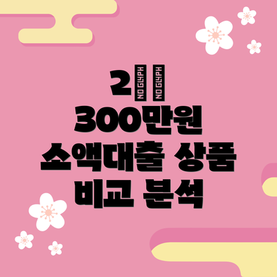 2️⃣ 300만원 소액대출 상품 비교 분석