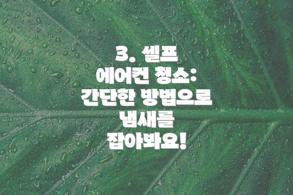 3. 셀프 에어컨 청소: 간단한 방법으로 냄새를 잡아봐요!
