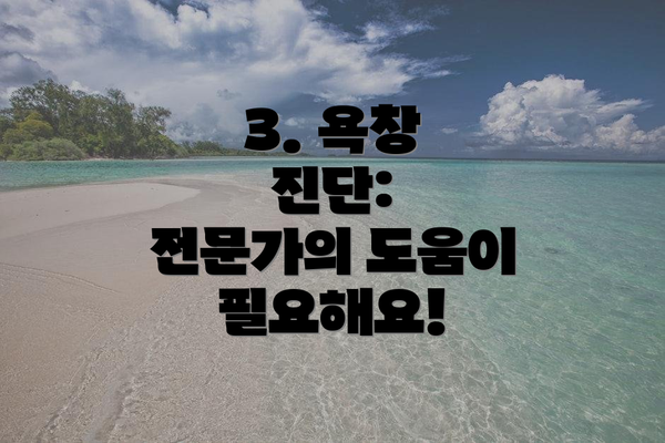3. 욕창 진단:  전문가의 도움이 필요해요!