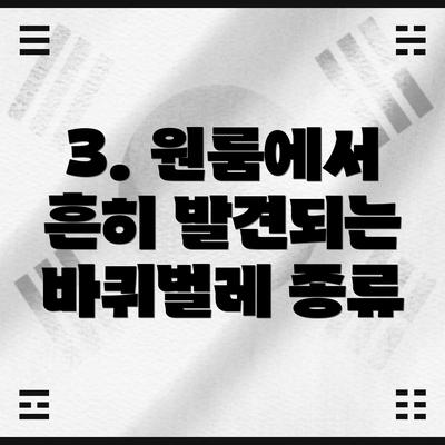 3. 원룸에서 흔히 발견되는 바퀴벌레 종류