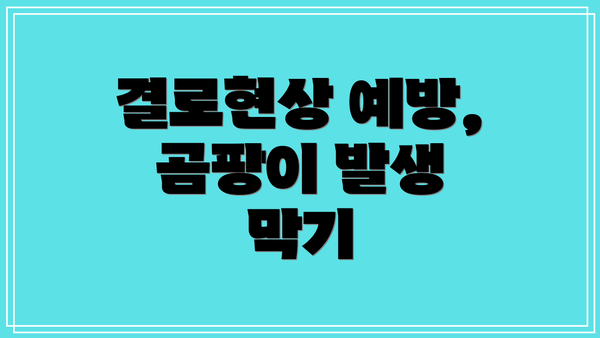 결로현상 예방, 곰팡이 발생 막기