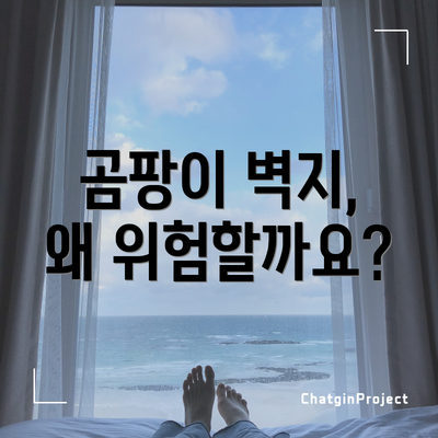곰팡이 벽지, 왜 위험할까요?