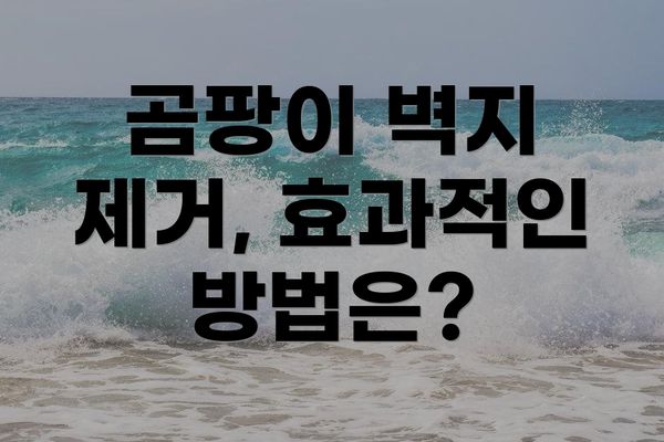 곰팡이 벽지 제거, 효과적인 방법은?