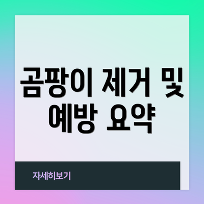 곰팡이 제거 및 예방 요약