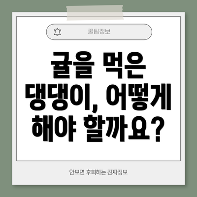 귤을 먹은 댕댕이, 어떻게 해야 할까요?