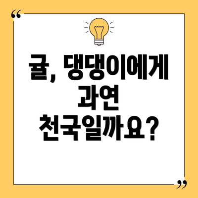 귤, 댕댕이에게 과연 천국일까요?