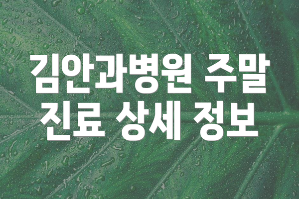 김안과병원 주말 진료 상세 정보