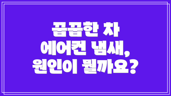 꿉꿉한 차 에어컨 냄새, 원인이 뭘까요?