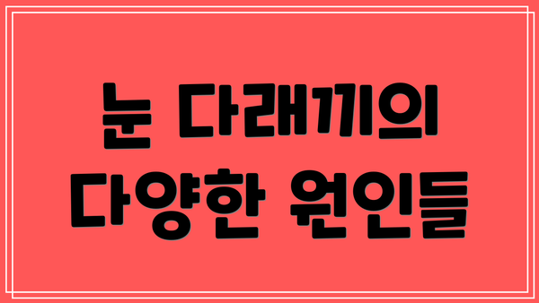 눈 다래끼의 다양한 원인들