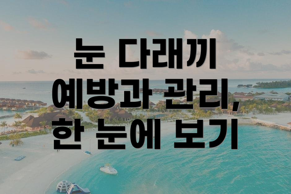 눈 다래끼 예방과 관리, 한 눈에 보기