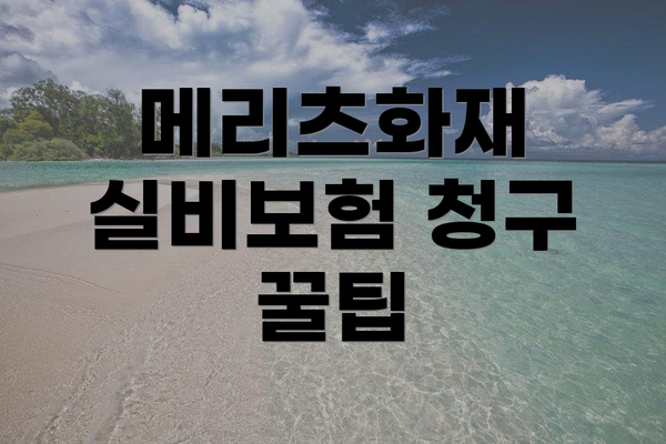 메리츠화재 실비보험 청구 꿀팁