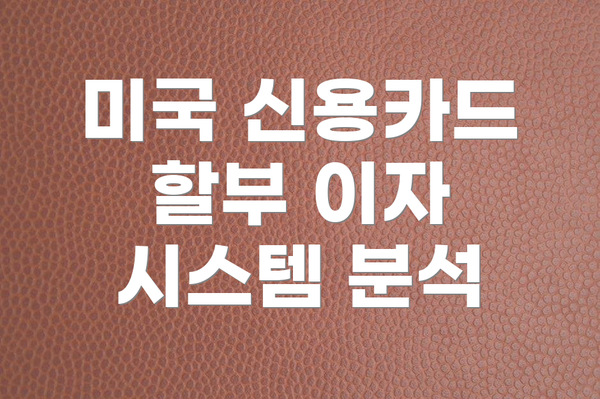 미국 신용카드 할부 이자 시스템 분석