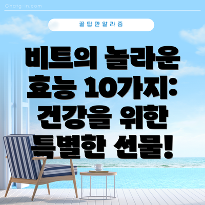 비트의 놀라운 효능 10가지: 건강을 위한 특별한 선물!