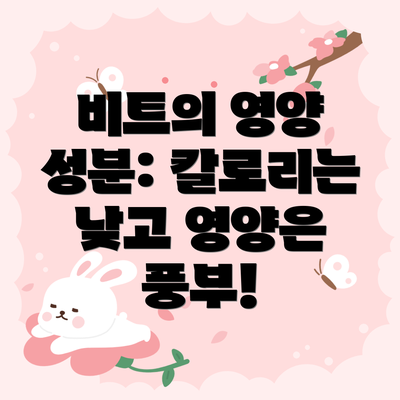 비트의 영양 성분: 칼로리는 낮고 영양은 풍부!