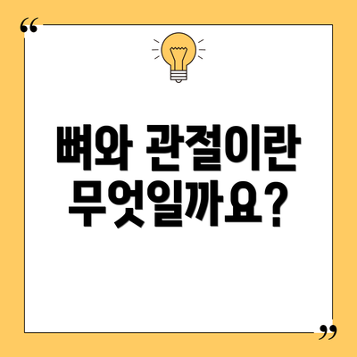 뼈와 관절이란 무엇일까요?