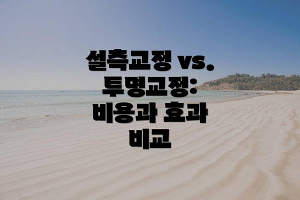 설측교정 vs. 투명교정: 비용과 효과 비교