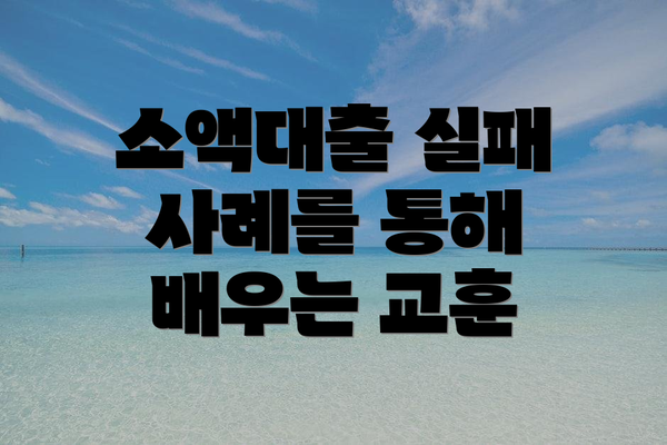 소액대출 실패 사례를 통해 배우는 교훈