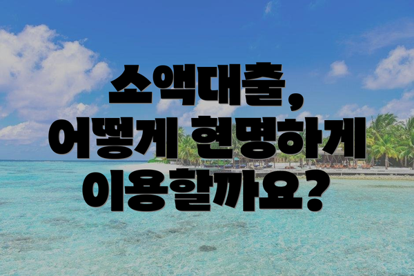 소액대출,  어떻게 현명하게 이용할까요?