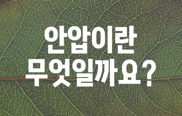 안압이란 무엇일까요?