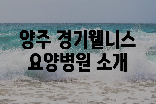 양주 경기웰니스요양병원 소개