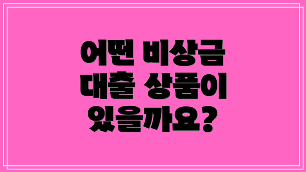 어떤 비상금 대출 상품이 있을까요?