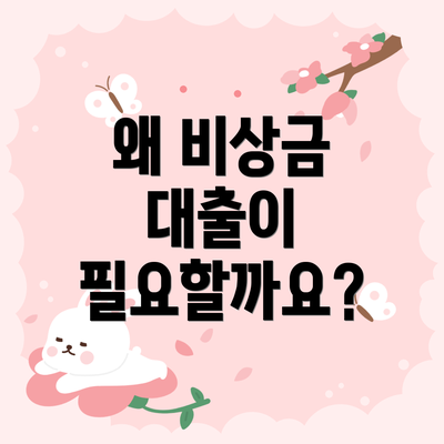 왜 비상금 대출이 필요할까요?