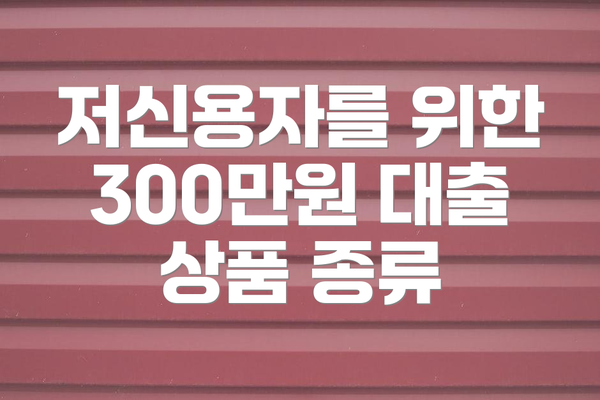 저신용자를 위한 300만원 대출 상품 종류
