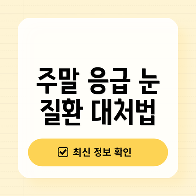 주말 응급 눈 질환 대처법