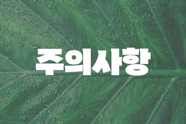 주의사항