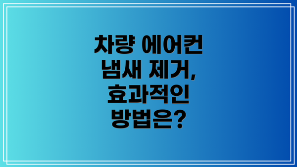 차량 에어컨 냄새 제거, 효과적인 방법은?