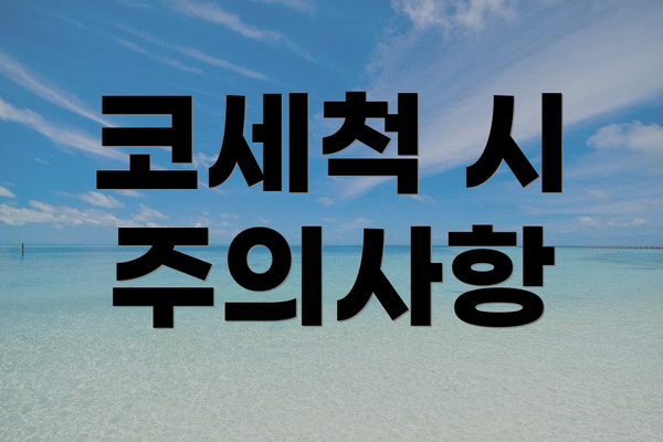 코세척 시 주의사항