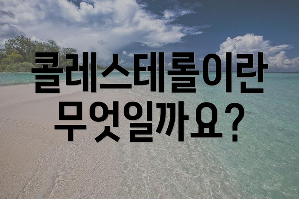 콜레스테롤이란 무엇일까요?