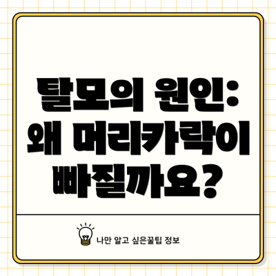 탈모의 원인: 왜 머리카락이 빠질까요?