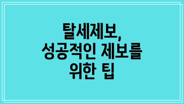 탈세제보, 성공적인 제보를 위한 팁