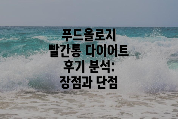 푸드올로지 빨간통 다이어트 후기 분석: 장점과 단점