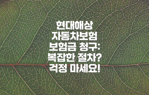 현대해상 자동차보험 보험금 청구:  복잡한 절차?  걱정 마세요!