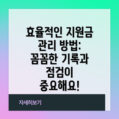 효율적인 지원금 관리 방법: 꼼꼼한 기록과 점검이 중요해요!