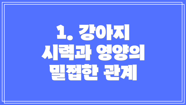 1. 강아지 시력과 영양의 밀접한 관계