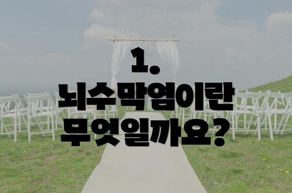 1. 뇌수막염이란 무엇일까요?