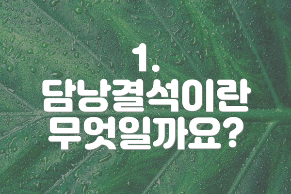 1. 담낭결석이란 무엇일까요?