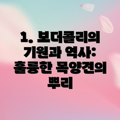 1. 보더콜리의 기원과 역사: 훌륭한 목양견의 뿌리
